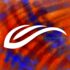 flyperson_ci_131 flyperson_ci_131
