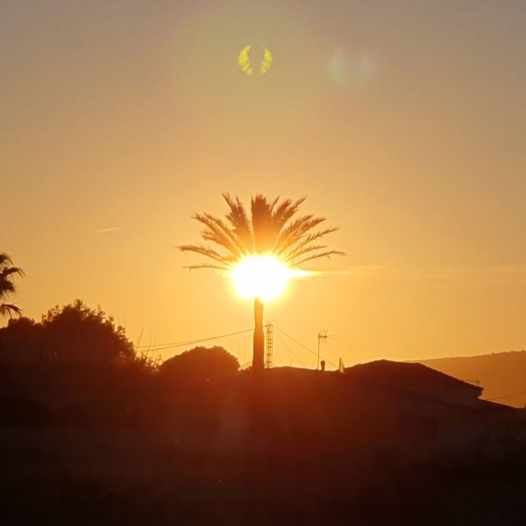 Playa Dénia Palm GloW