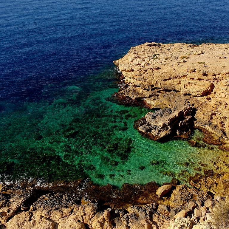 Cala ErizoS