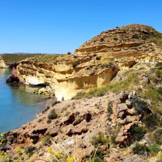 Av. Pedro López Meca The path of colorful contrasts ImpressionS