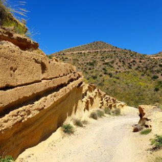 Av. Pedro López Meca The path of colorful contrasts ImpressionS
