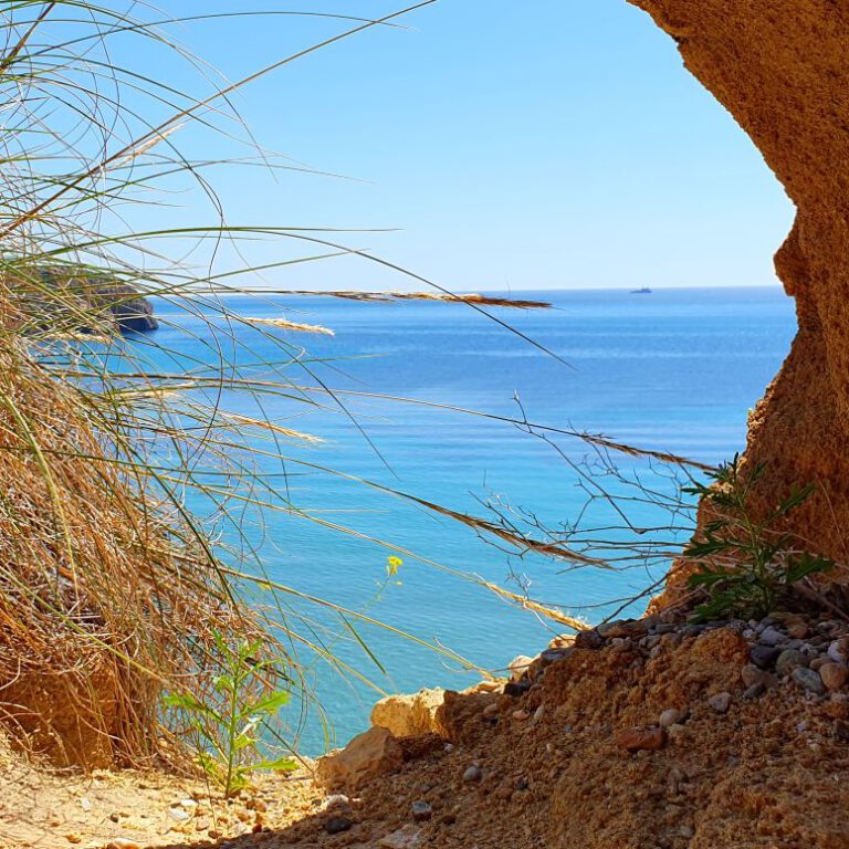 Av. Pedro López Meca The path of colorful contrasts ImpressionS