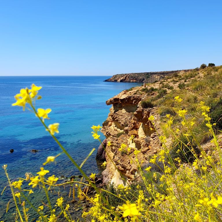 Av. Pedro López Meca The path of colorful contrasts ImpressionS