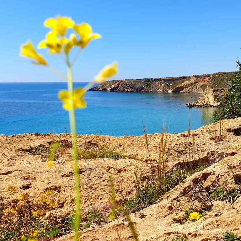 Av. Pedro López Meca The path of colorful contrasts ImpressionS