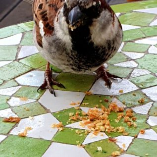 Las Negras TAKA TUKA (ES)