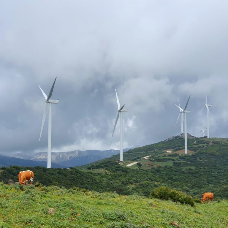 Parque Eólico la Locustur a- CowwoW