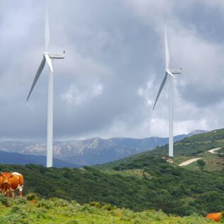 Parque Eólico la Locustur a- CowwoW