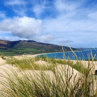 Duna de ValdevaqueroS