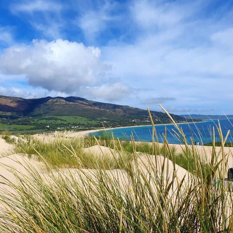 Duna de ValdevaqueroS