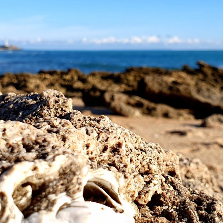 Zahora Faro de TrafalgaR