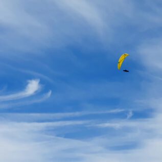 Great Day - Great FlighT