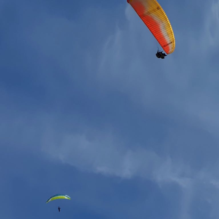 Great Day - Great FlighT