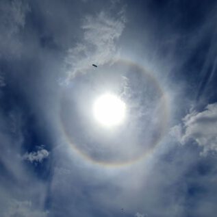Into The Sun - HalO FlY HigH