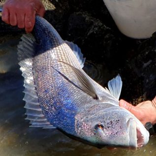 The Fisherman´s Luck is the Fish´s MisfortunE