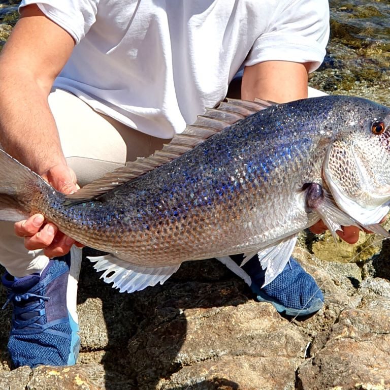 The Fisherman´s Luck is the Fish´s MisfortunE