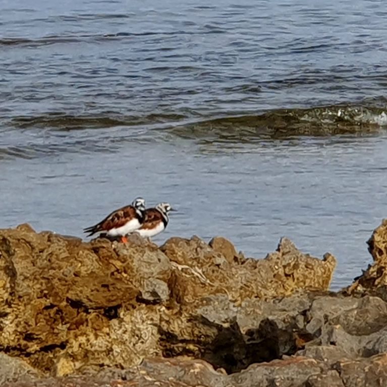 Playa de la Ermia after the raiN