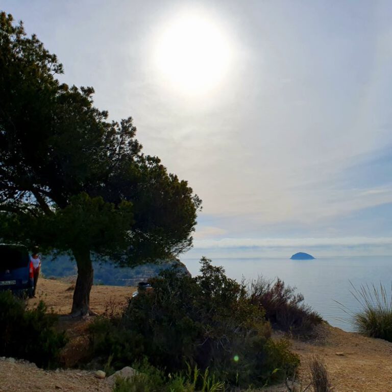 Spruce shaped by Cliff UpdrafT