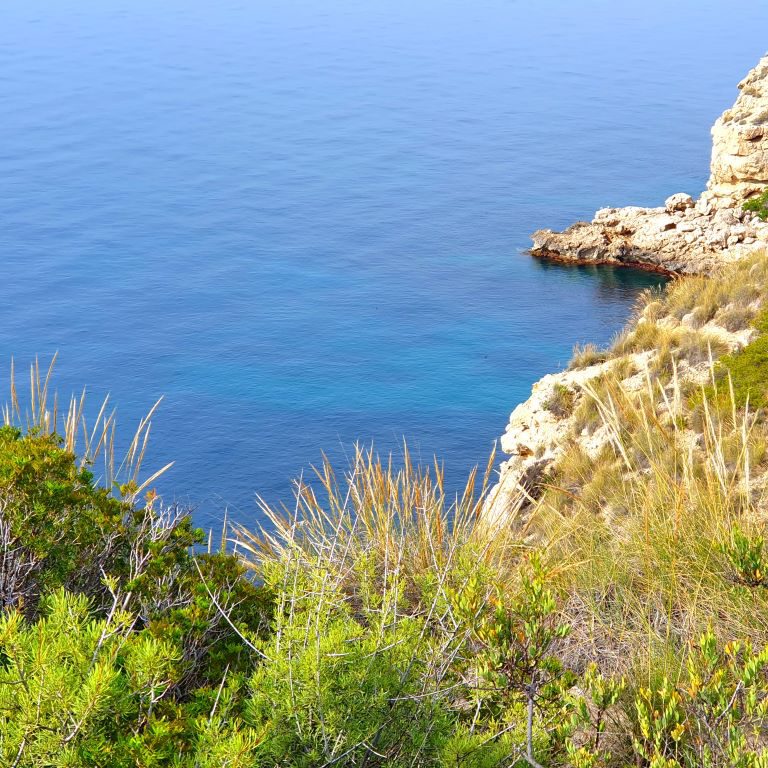 Cala ErizoS
