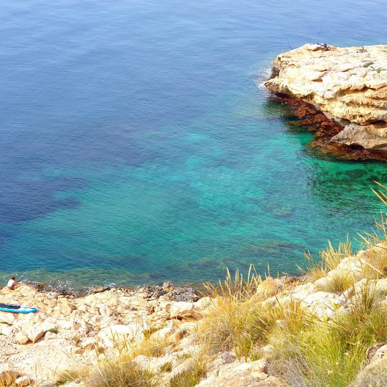 Cala ErizoS