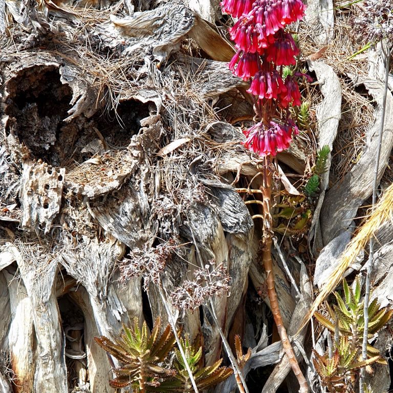 Villajoyosa by the waY