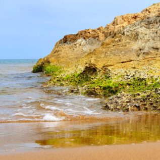 Playa de CalblanquE - La Duna FósiL