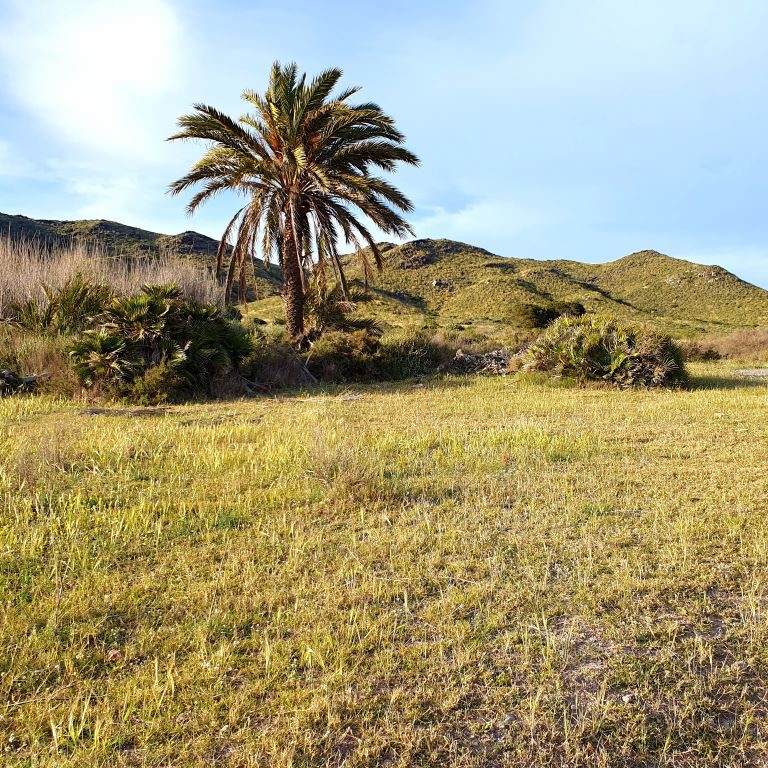 Parque Regional de CalblanquE