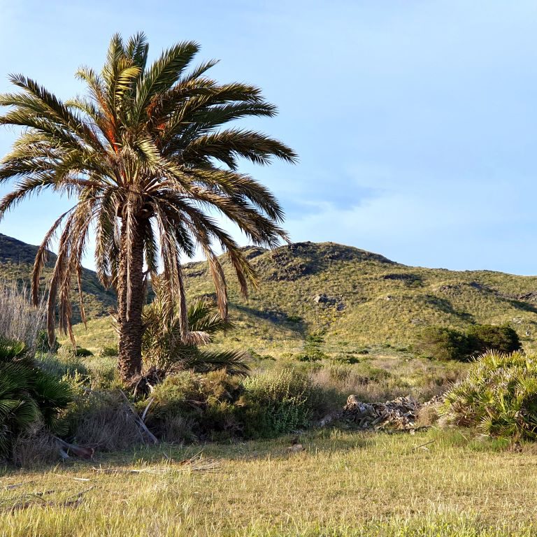 Parque Regional de CalblanquE