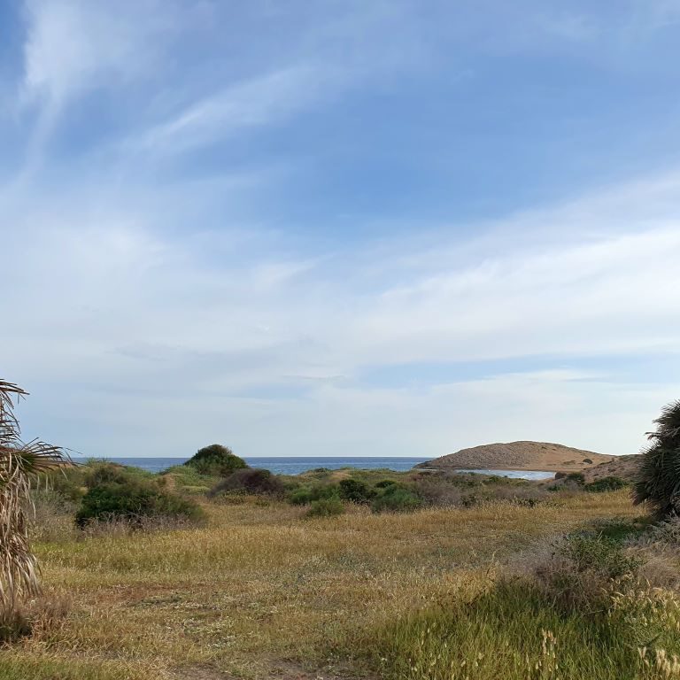 Parque Regional de CalblanquE
