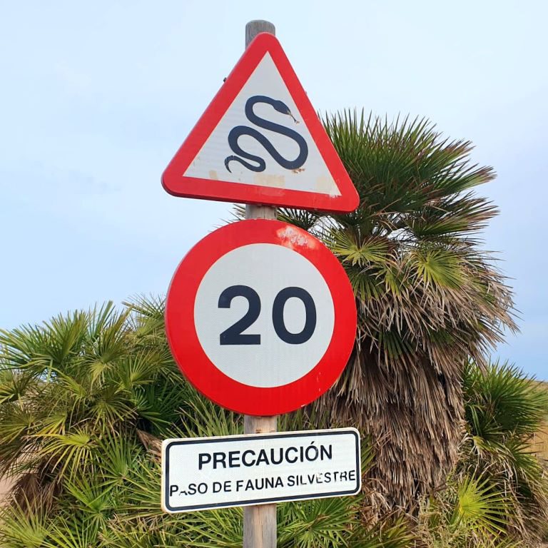 Parque Regional de Calblanque - Snake ZonE