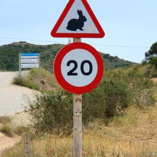 Parque Regional de Calblanque - Attention KillerRabbitS