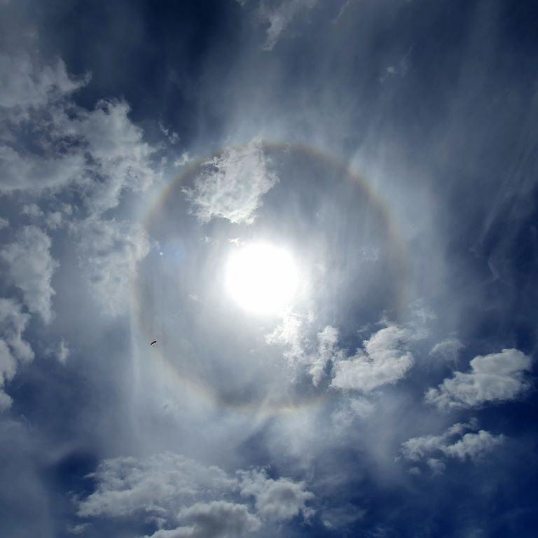 Into The Sun - HalO FlY HigH