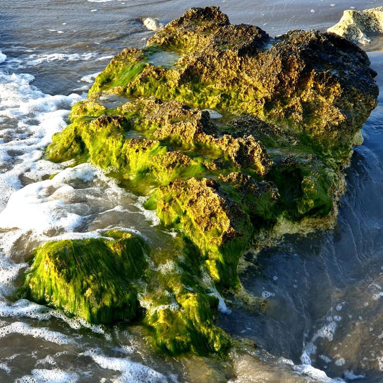 Nuestra Beach Morning after a stormy NighT