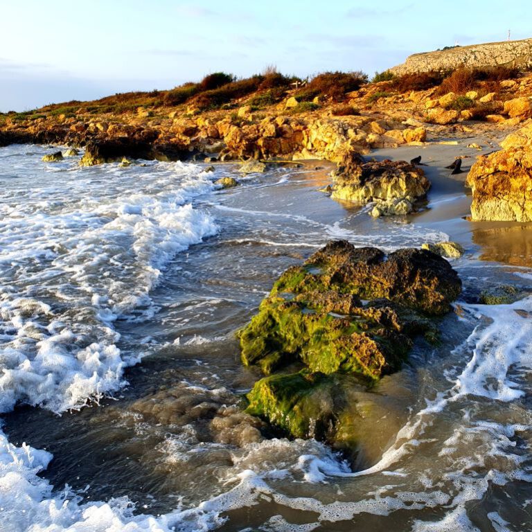 Nuestra Beach Morning after a stormy NighT