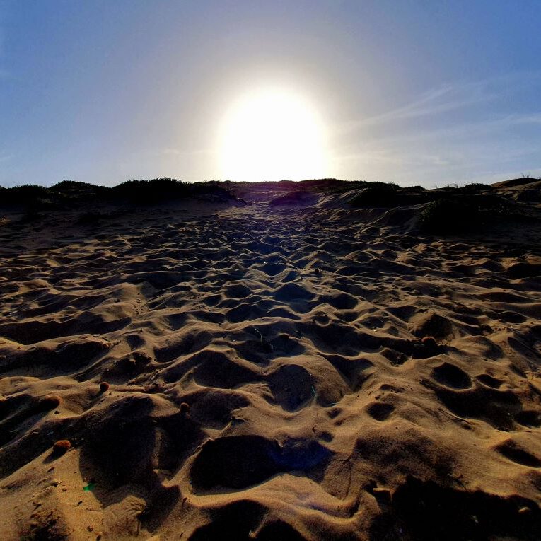 La Marina Dunes SunseT