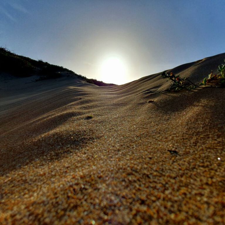 Dunes de la Marina SunseT