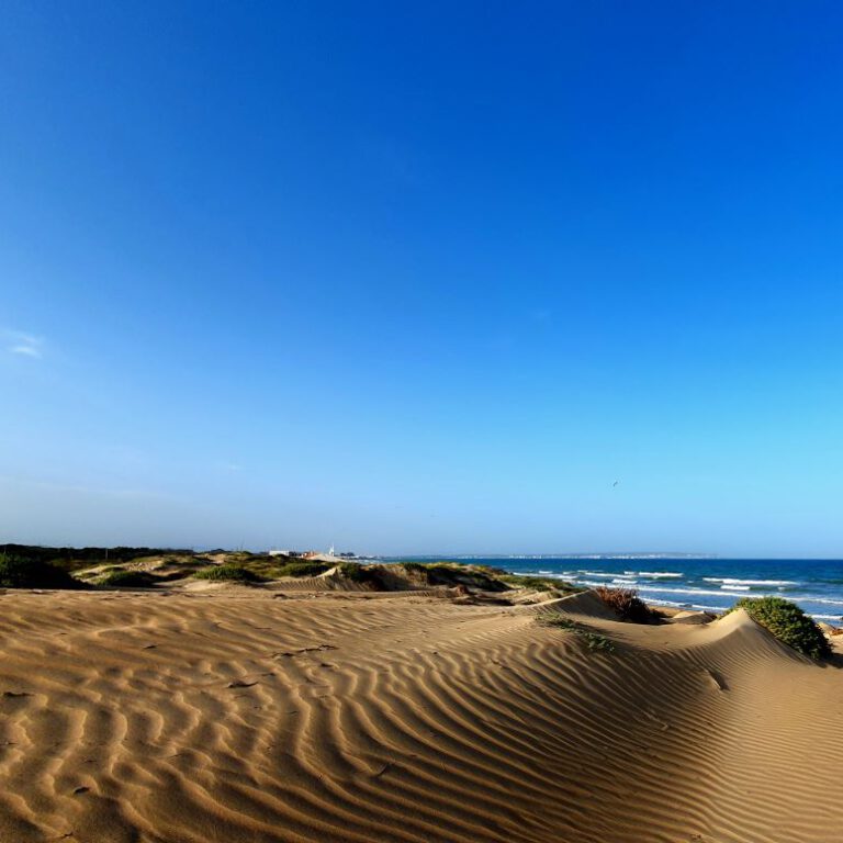 Dunes de la MarinA