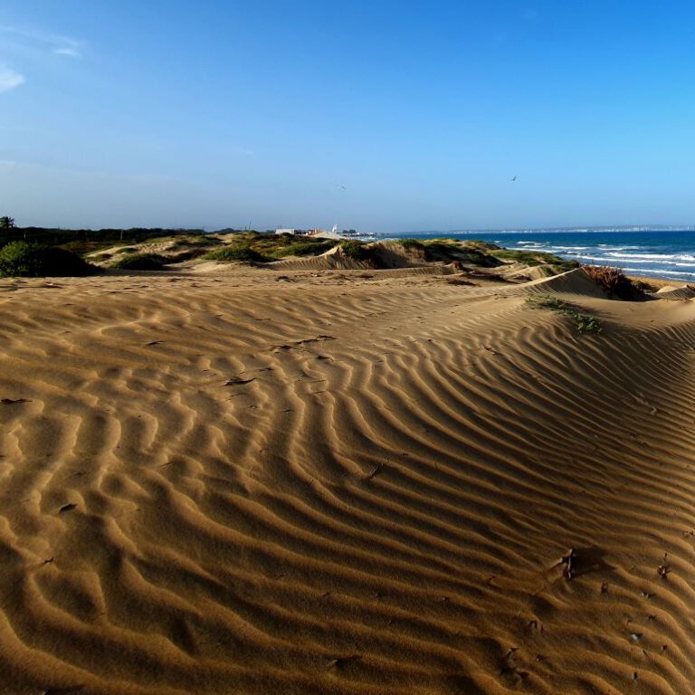 Dunes de la MarinA