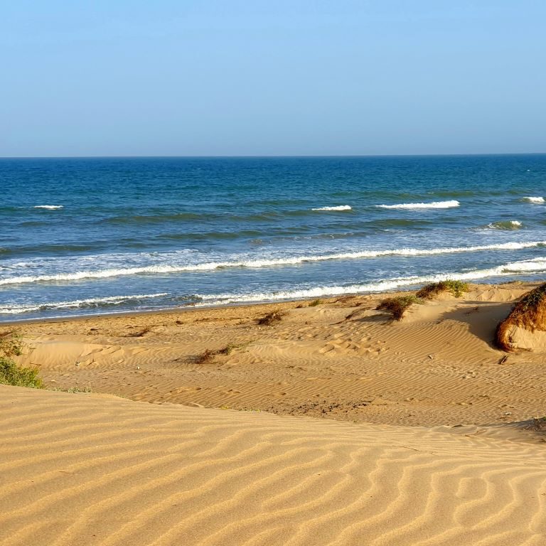 Dunes de la MarinA