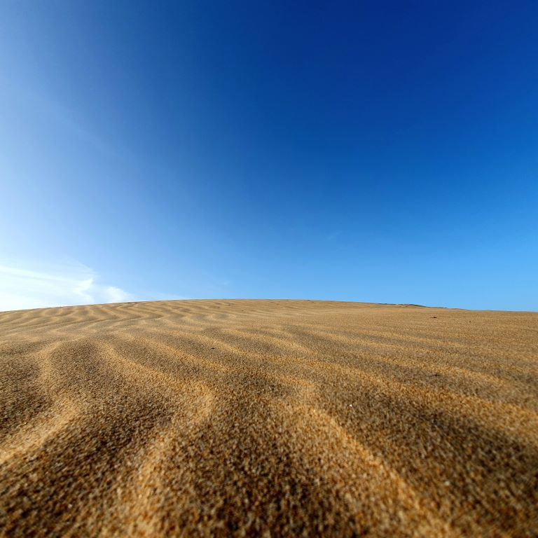 Dunes de la MarinA