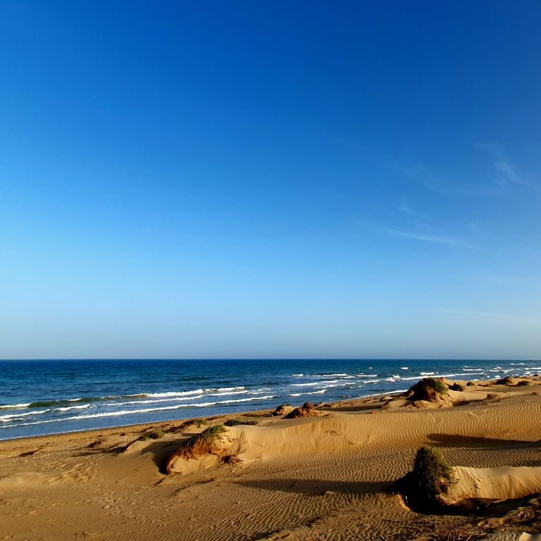 Dunes de la MarinA