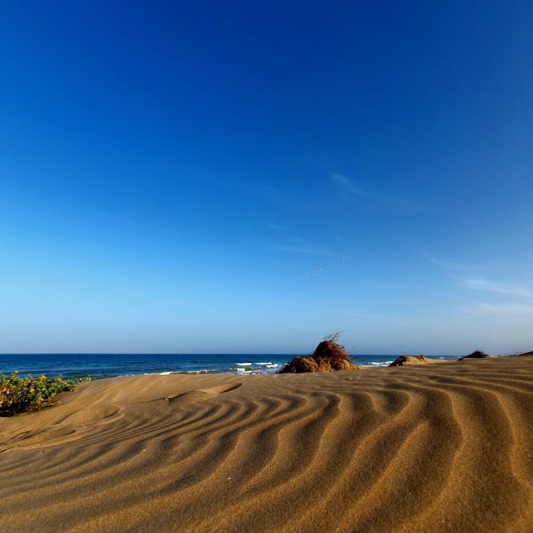 Dunes de la MarinA