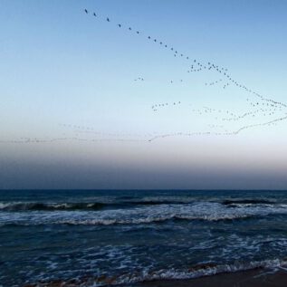 Dunes de la Marina Flamingo RoaD
