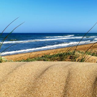 Dunes de la MarinA