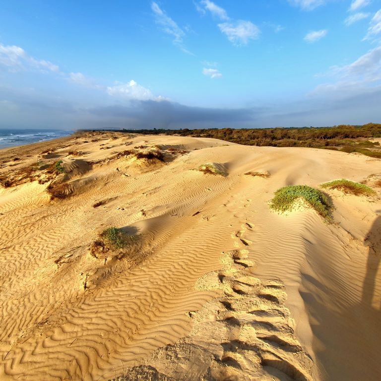 Dunes de la Marina Sunrise MooD