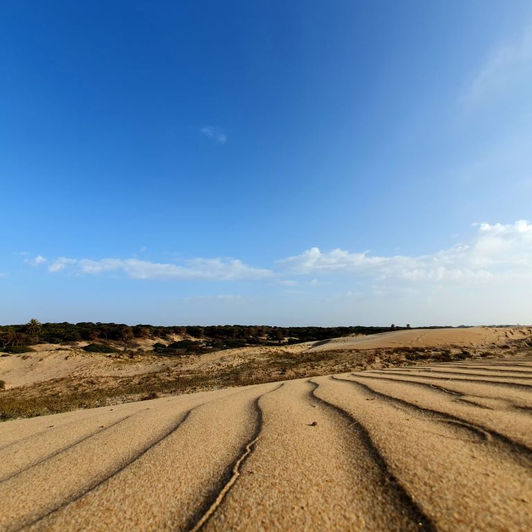 Dunes de la Marina Sunrise MooD