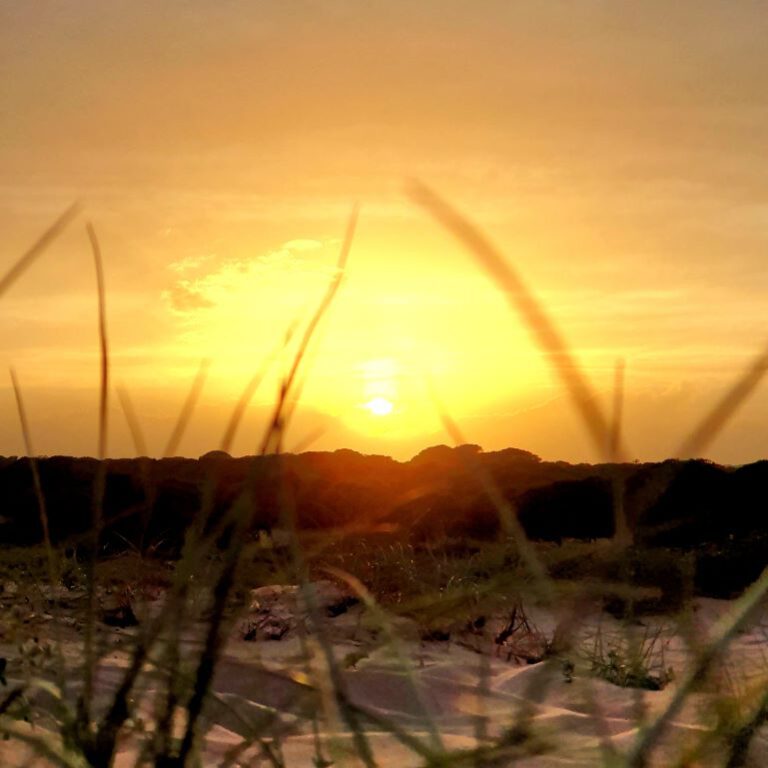 Dunes de la Marina SunseT