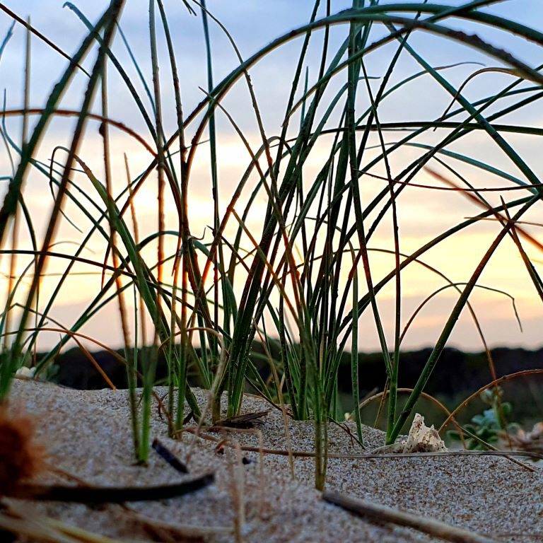 Dunes de la Marina SunseT