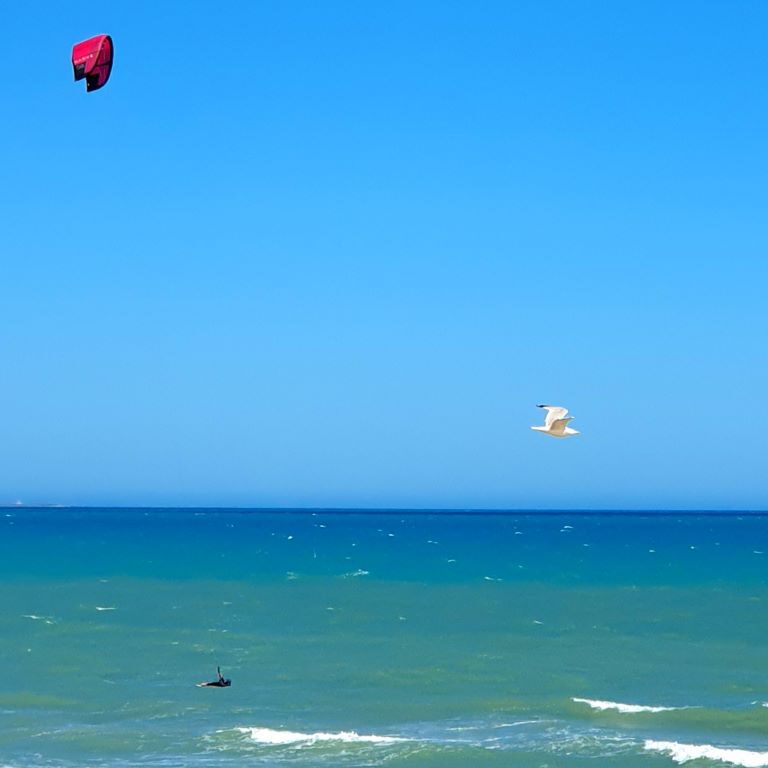 Dunes de la Marina FlightKite ImpressionS