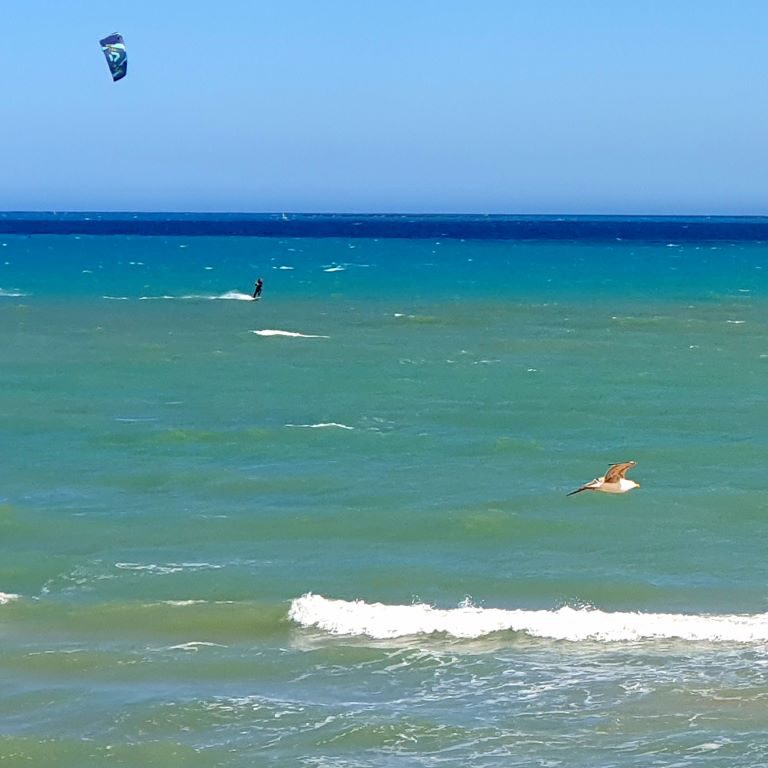 Dunes de la Marina FlightKite ImpressionS