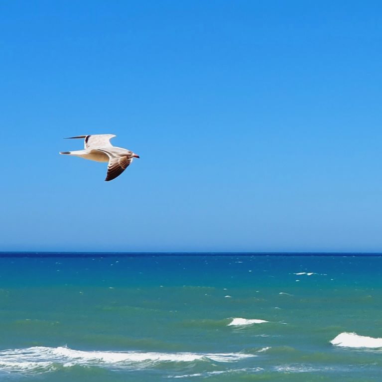 Dunes de la Marina Flight ImpressionS